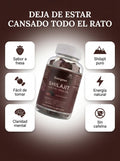 Shilajit Gummies